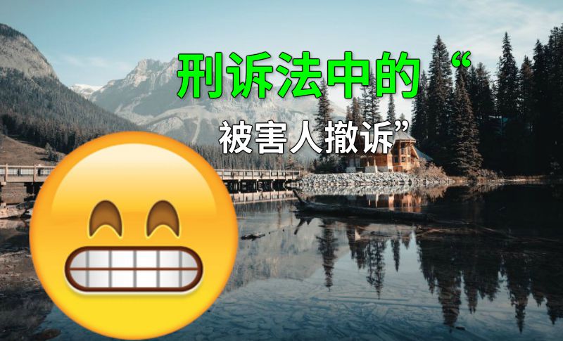 刑诉法中的“被害人撤诉” 动画制作软件有哪些