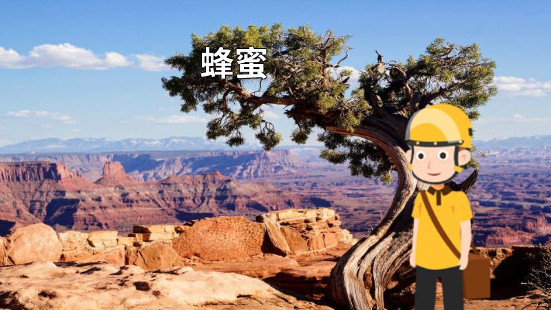 蜂蜜 动画制作软件有哪些