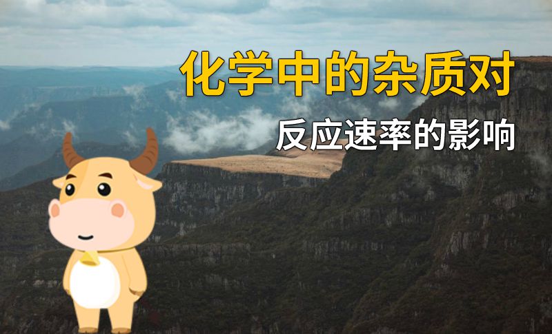 化学中的杂质对反应速率的影响 动画制作软件有哪些