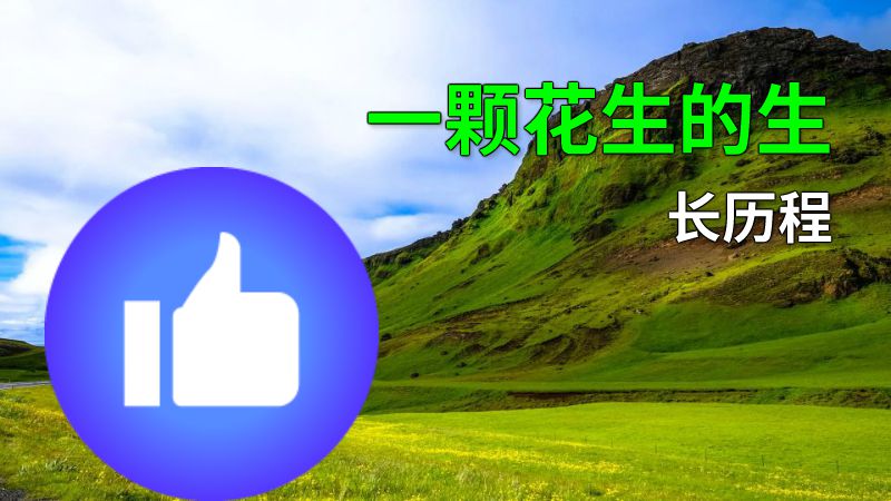 一颗花生的生长历程 动画制作软件有哪些