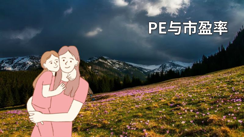 PE与市盈率 动画制作软件有哪些