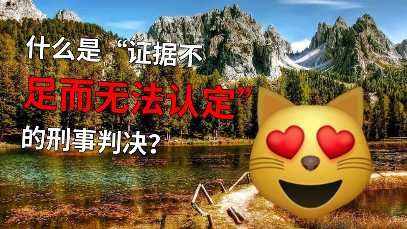 什么是“证据不足而无法认定”的刑事判决？ 动画制作软件有哪些