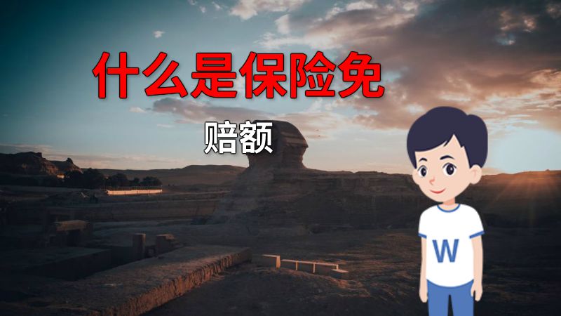 什么是保险免赔额 动画制作软件有哪些