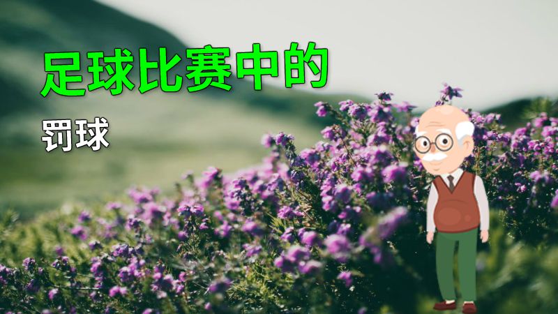 足球比赛中的罚球 动画制作软件有哪些