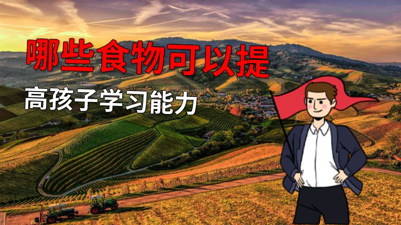 哪些食物可以提高孩子学习能力 动画制作软件有哪些