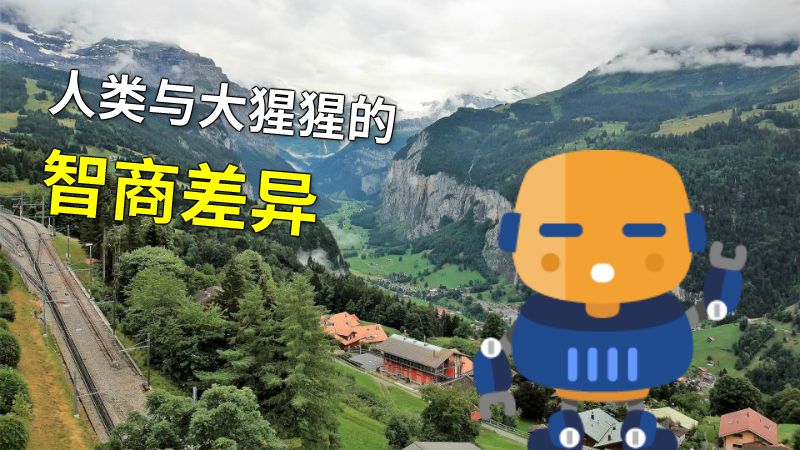 人类与大猩猩的智商差异 动画制作软件有哪些