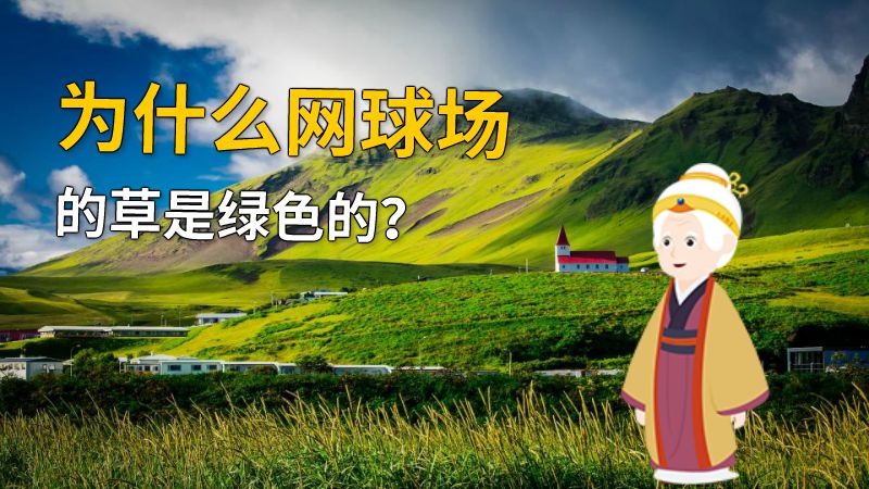 为什么网球场的草是绿色的？ 动画制作软件有哪些