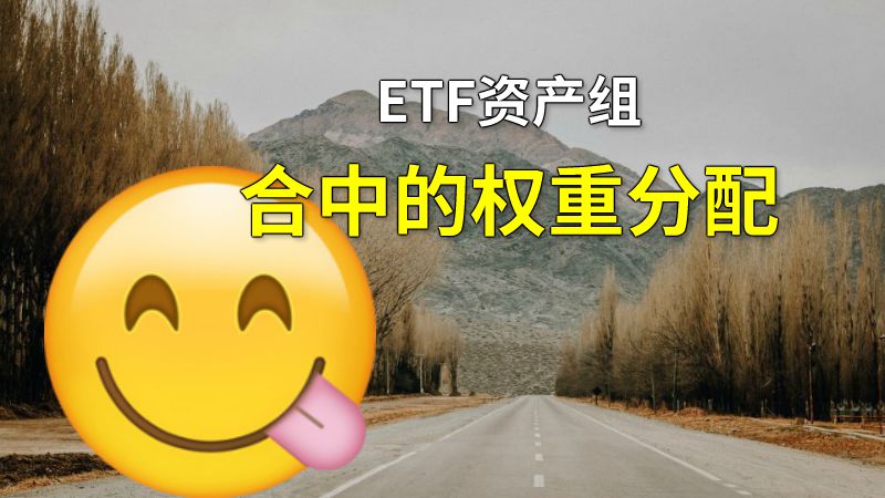 ETF资产组合中的权重分配 动画制作软件有哪些