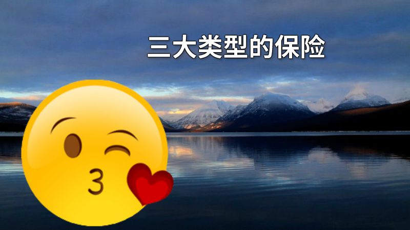 三大类型的保险 动画制作软件有哪些