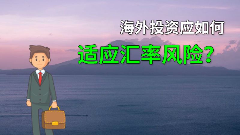 海外投资应如何适应汇率风险？ 动画制作软件有哪些