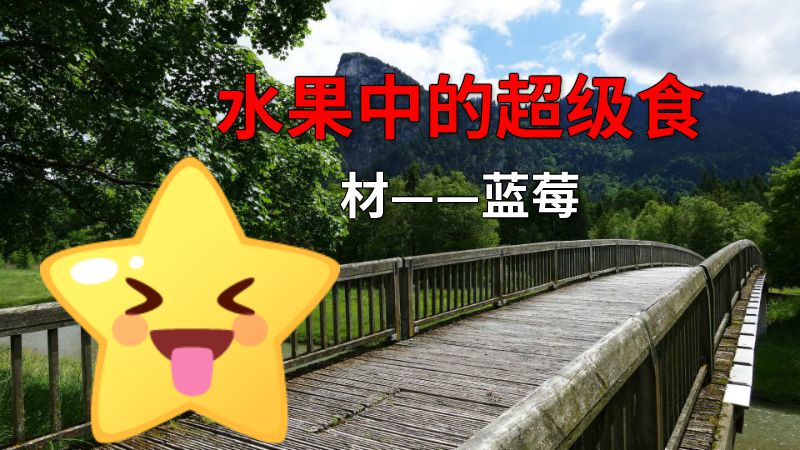 水果中的超级食材——蓝莓 动画制作软件有哪些