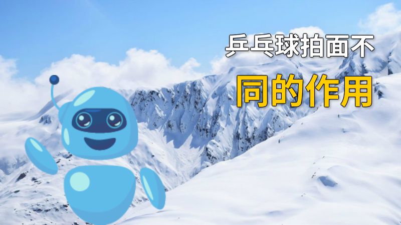 乒乓球拍面不同的作用 动画制作软件有哪些