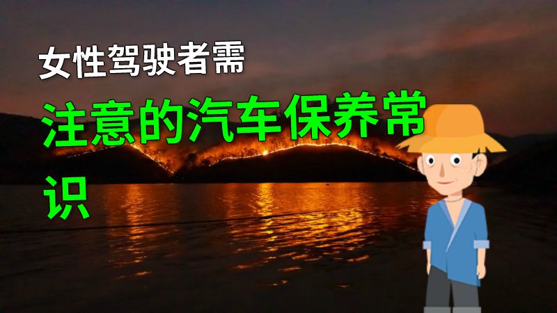 女性驾驶者需注意的汽车保养常识 动画制作软件有哪些