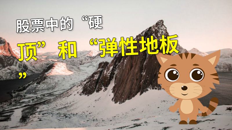 股票中的“硬顶”和“弹性地板” 动画制作软件有哪些
