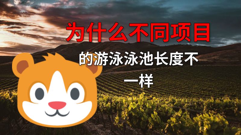 为什么不同项目的游泳泳池长度不一样 动画制作软件有哪些