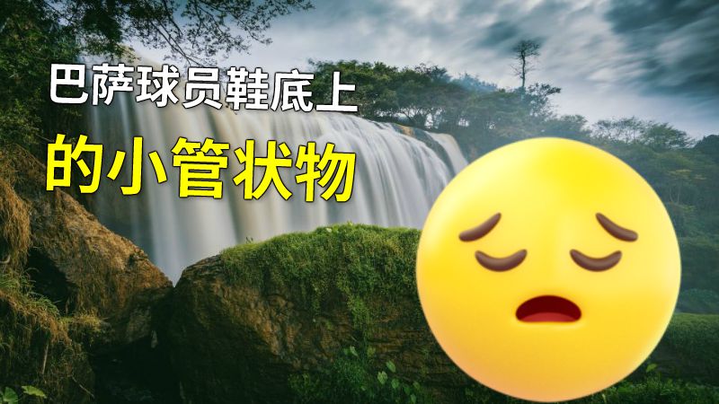 巴萨球员鞋底上的小管状物 动画制作软件有哪些