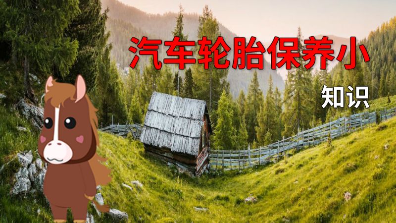 汽车轮胎保养小知识 动画制作软件有哪些