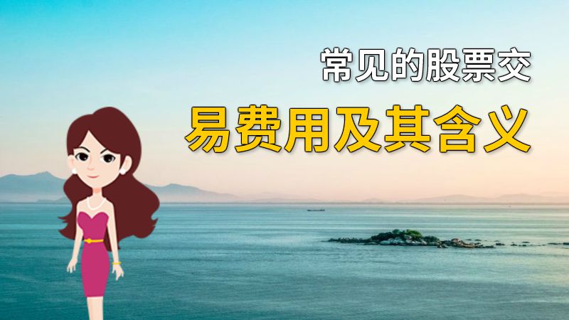 常见的股票交易费用及其含义 动画制作软件有哪些