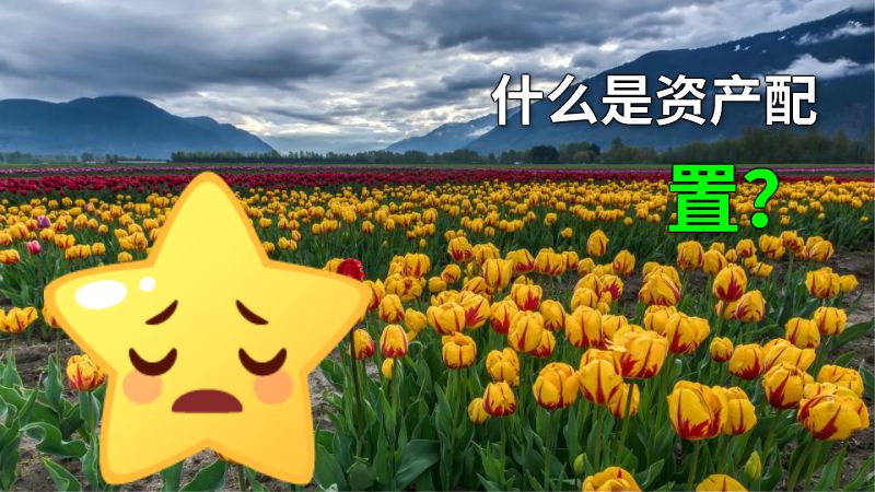 什么是资产配置？ 动画制作软件有哪些