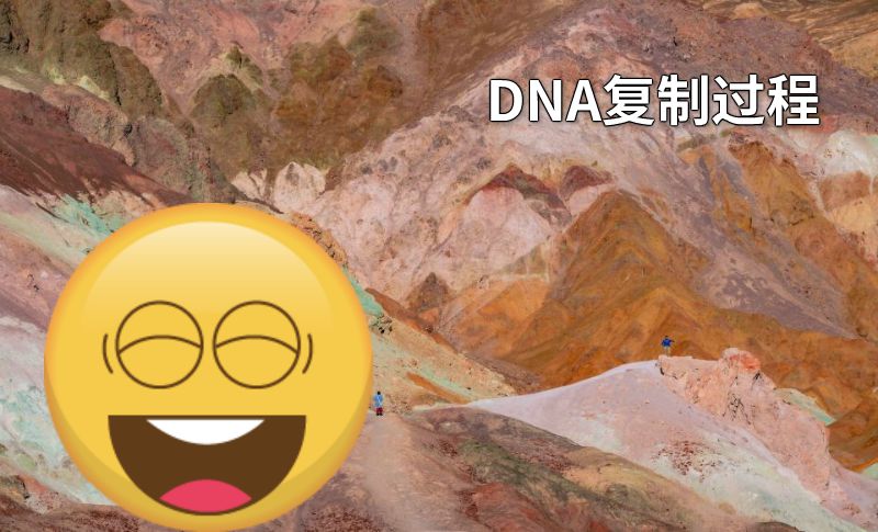 DNA复制过程 动画制作软件有哪些