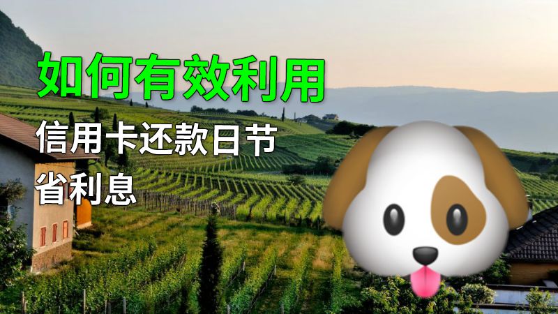 如何有效利用信用卡还款日节省利息 动画制作软件有哪些