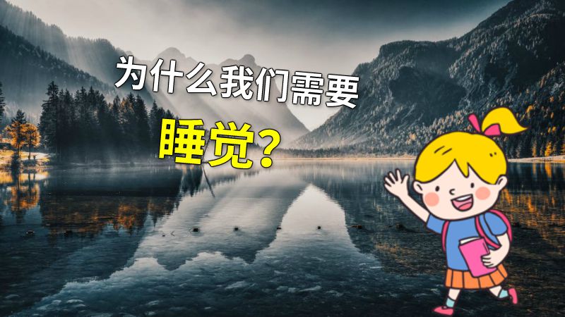 为什么我们需要睡觉？ 动画制作软件有哪些