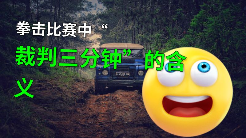 拳击比赛中“裁判三分钟”的含义 动画制作软件有哪些