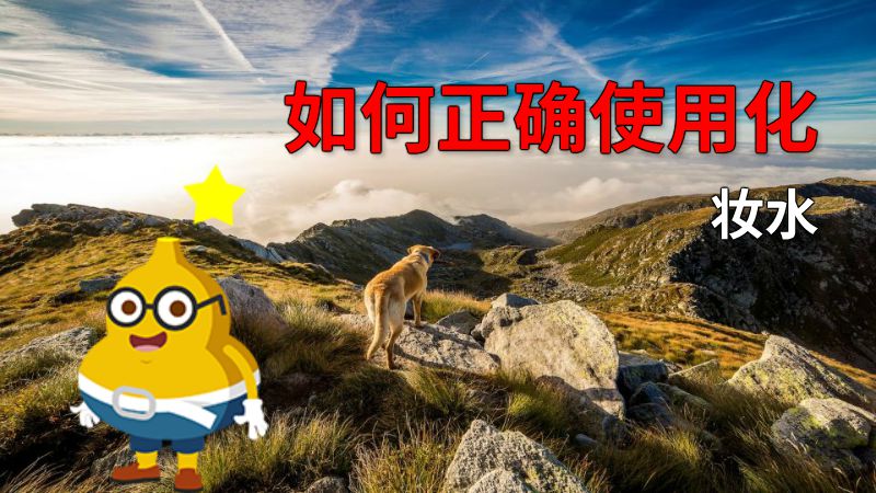 如何正确使用化妆水 动画制作软件有哪些