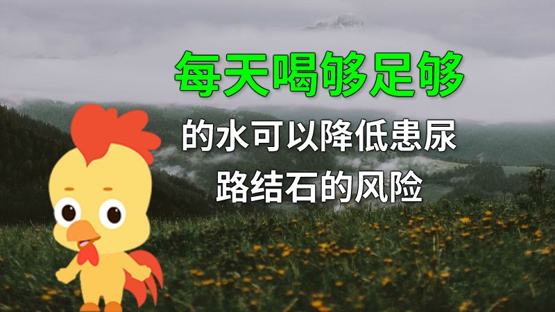 每天喝够足够的水可以降低患尿路结石的风险 动画制作软件有哪些