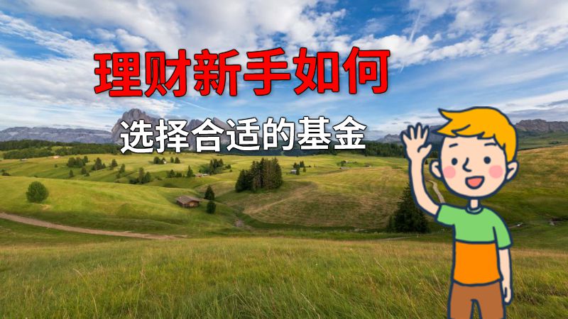 理财新手如何选择合适的基金 动画制作软件有哪些