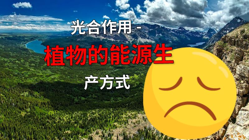 光合作用 - 植物的能源生产方式 动画制作软件有哪些