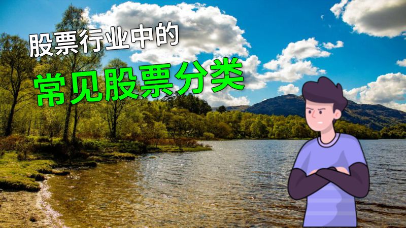 股票行业中的常见股票分类 动画制作软件有哪些