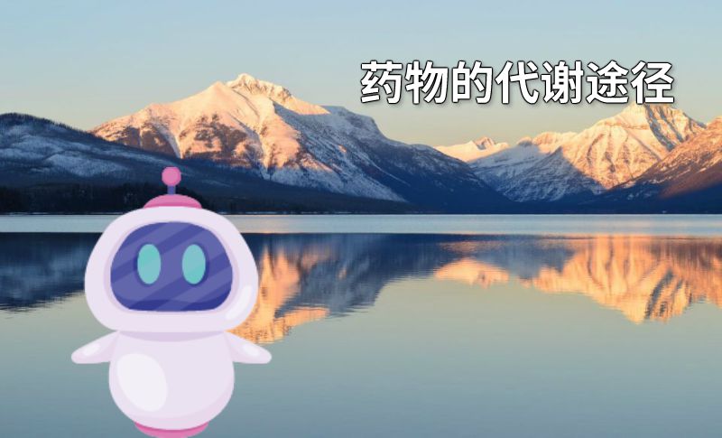 药物的代谢途径 动画制作软件有哪些
