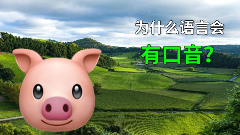 为什么语言会有口音？ 动画制作软件有哪些