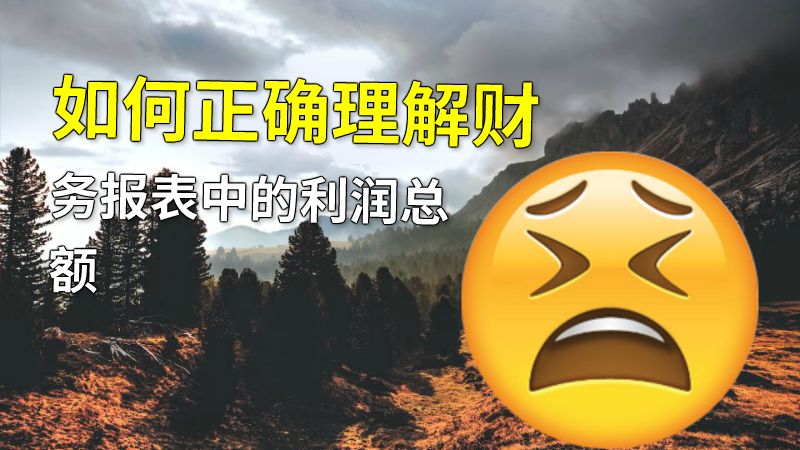 如何正确理解财务报表中的利润总额 动画制作软件有哪些