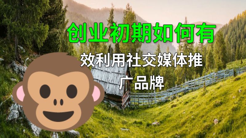 创业初期如何有效利用社交媒体推广品牌 动画制作软件有哪些