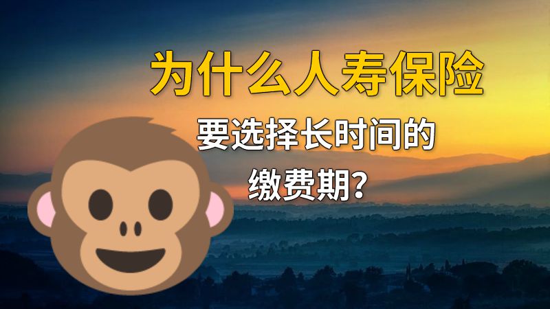 为什么人寿保险要选择长时间的缴费期？ 动画制作软件有哪些