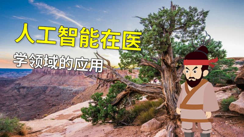人工智能在医学领域的应用 动画制作软件有哪些