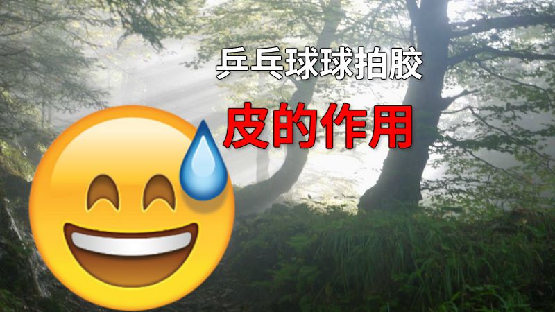 乒乓球球拍胶皮的作用 动画制作软件有哪些