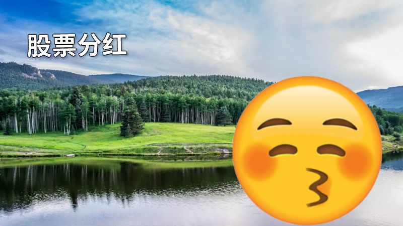 股票分红 动画制作软件有哪些