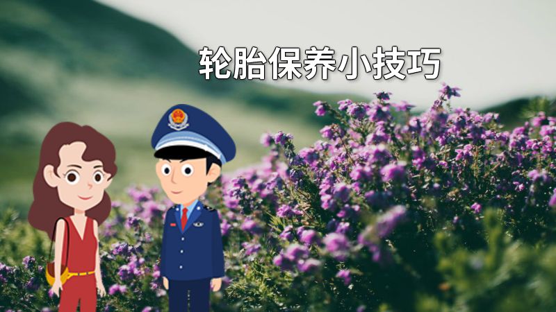 轮胎保养小技巧 动画制作软件有哪些