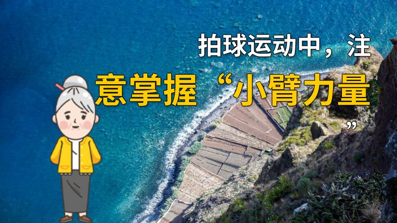 拍球运动中，注意掌握“小臂力量” 动画制作软件有哪些