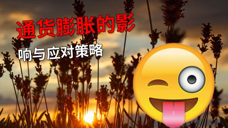 通货膨胀的影响与应对策略 动画制作软件有哪些