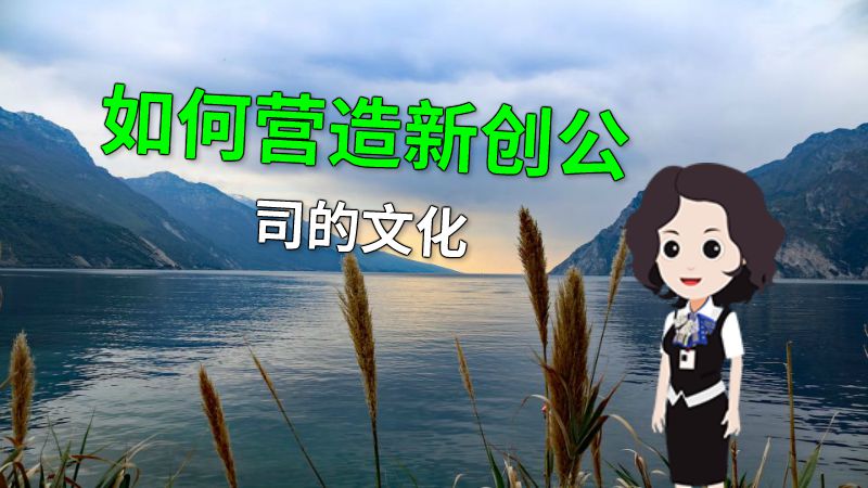 如何营造新创公司的文化 动画制作软件有哪些