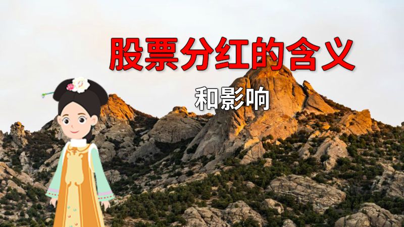 股票分红的含义和影响 动画制作软件有哪些