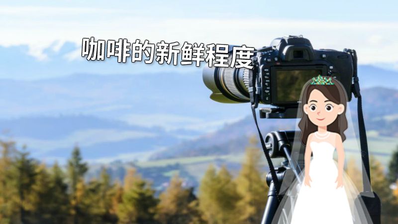 咖啡的新鲜程度 动画制作软件有哪些
