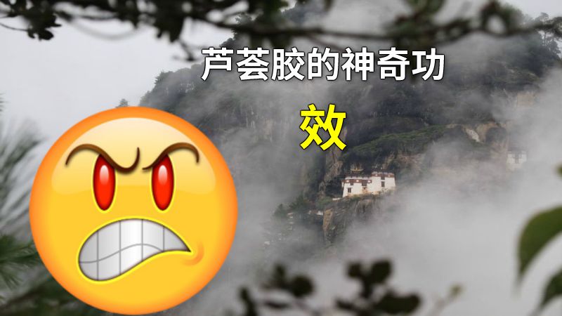 芦荟胶的神奇功效 动画制作软件有哪些