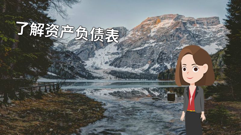 了解资产负债表 动画制作软件有哪些