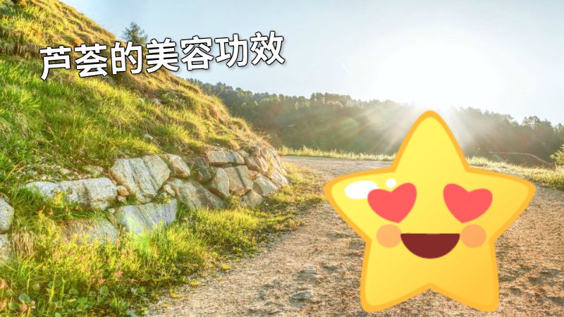 芦荟的美容功效 动画制作软件有哪些