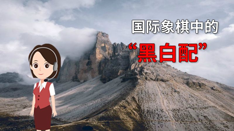 国际象棋中的“黑白配” 动画制作软件有哪些